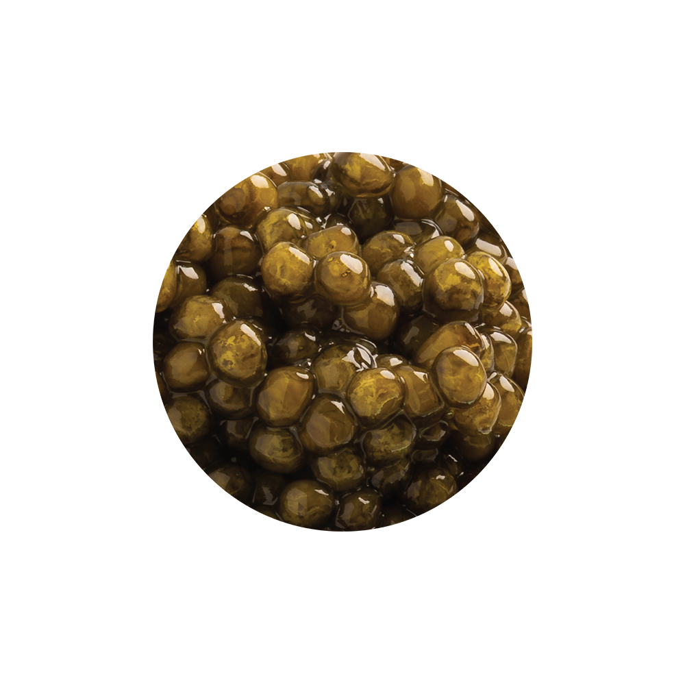 Ossetra Reserve Caviar